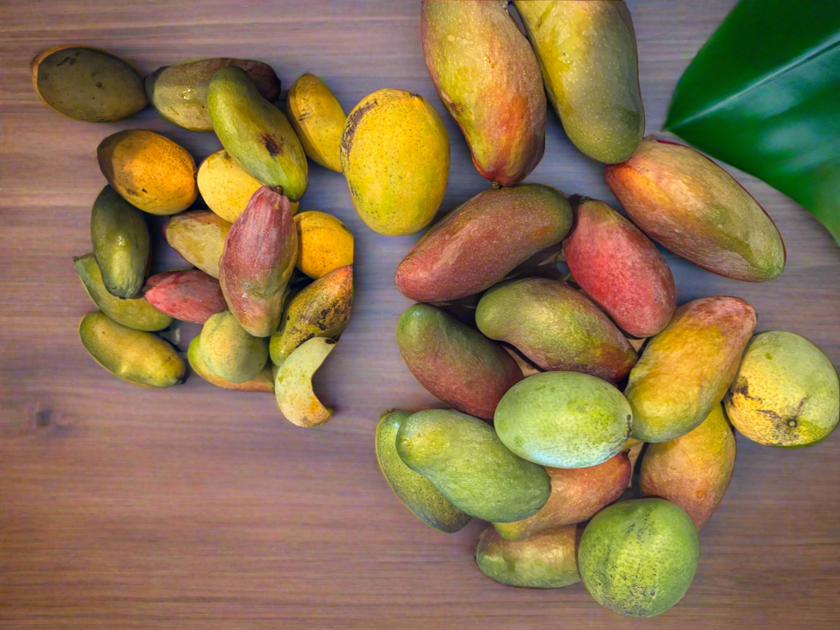 Mangoes